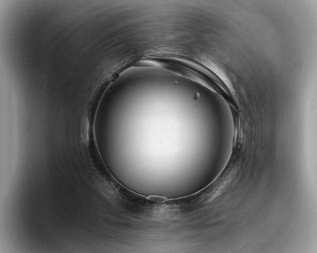 X0000096200109200801181349