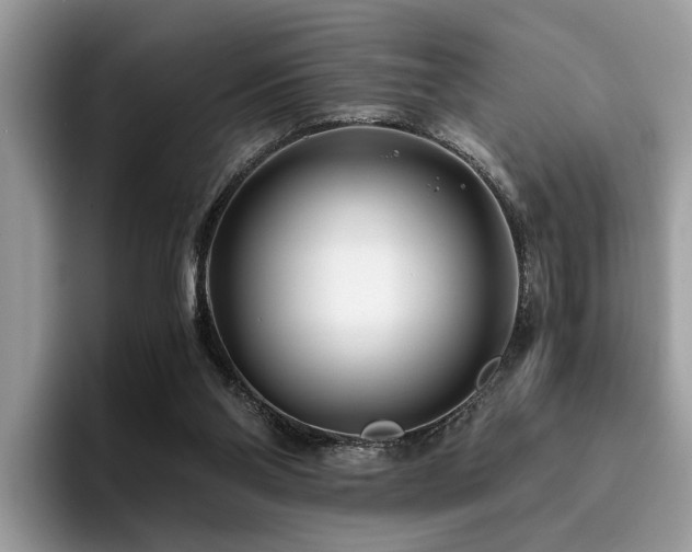 X0000096200110200801181349