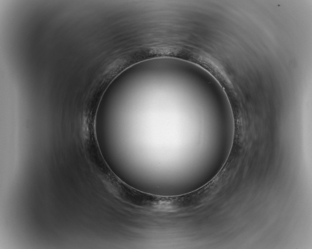 X0000096200114200801181349