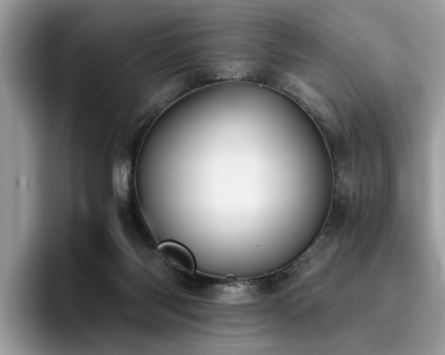 X0000096200118200801181349