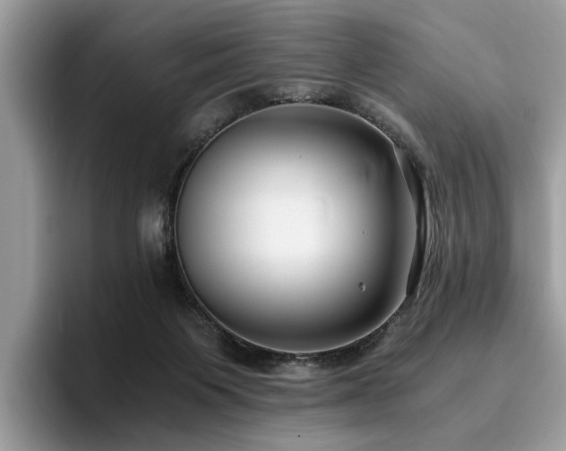 X0000096200119200801181349