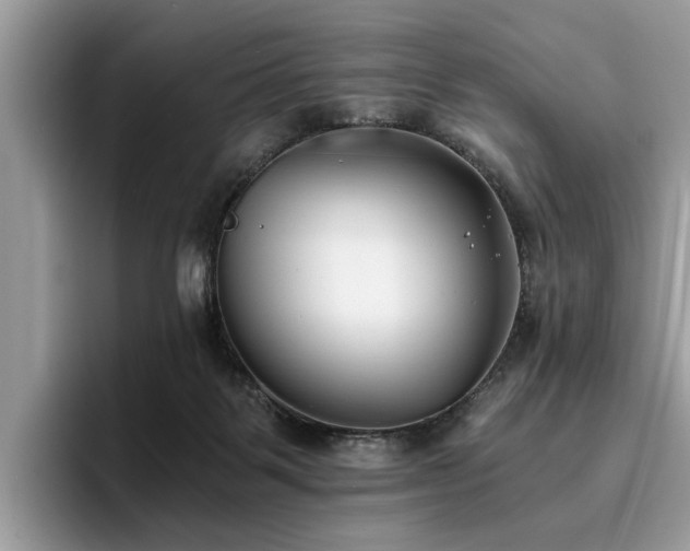 X0000096200123200801181349
