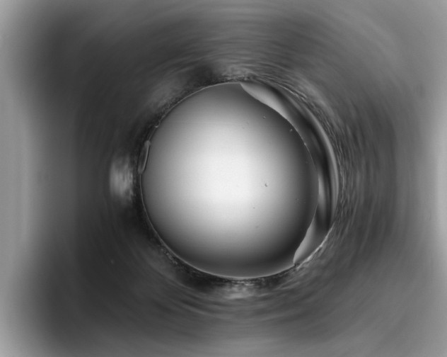 X0000096200124200801181349