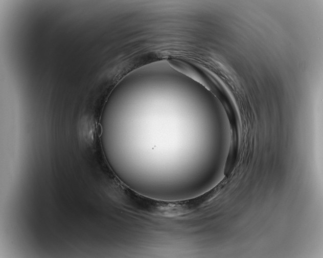 X0000096200125200801181349