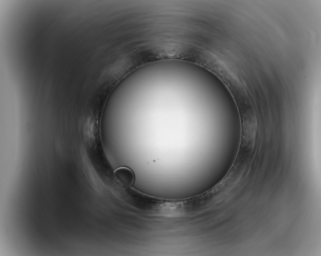 X0000096200126200801181349
