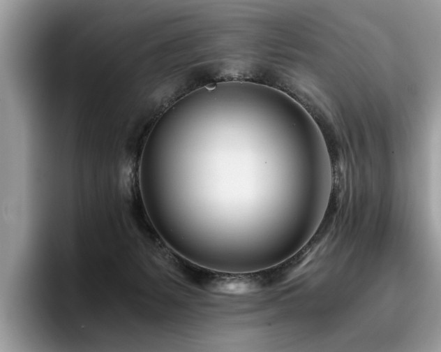 X0000096200127200801181349