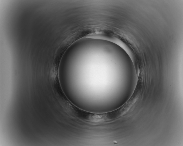 X0000096200129200801181348
