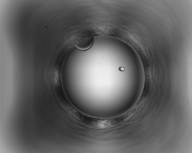 X0000096200130200801181348