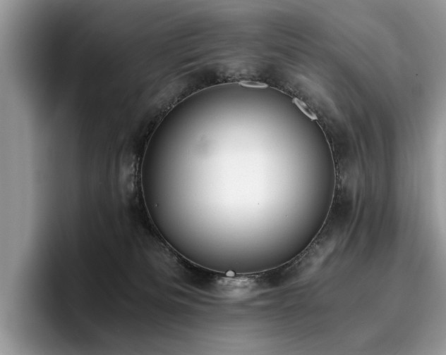 X0000096200133200801181348