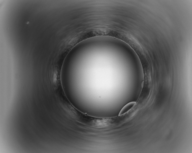 X0000096200134200801181348