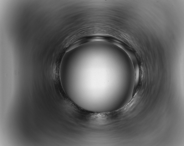 X0000096200140200801181348