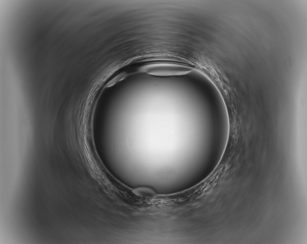 X0000096200145200801181348