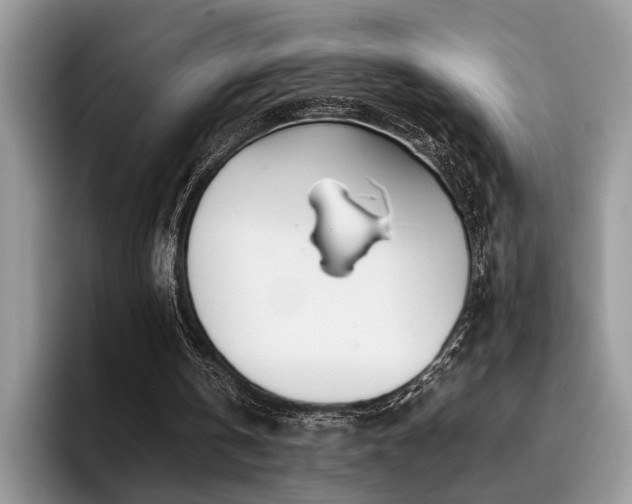 X0000096200146200801181348