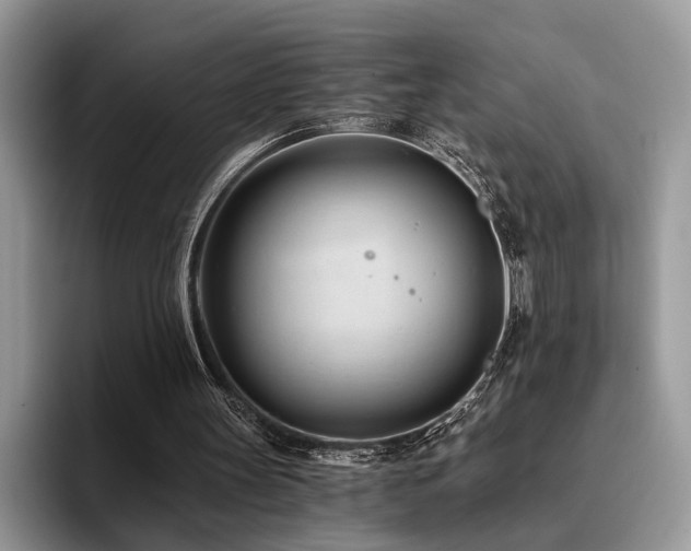 X0000096200147200801181348