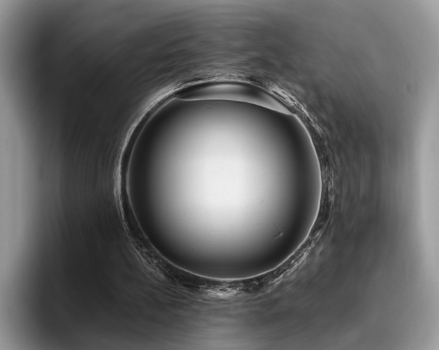 X0000096200148200801181348