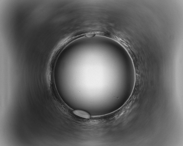 X0000096200149200801181348