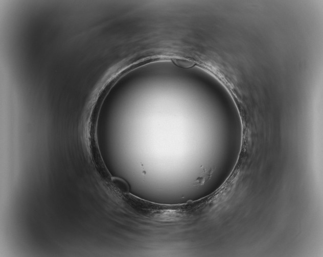 X0000096200151200801181348