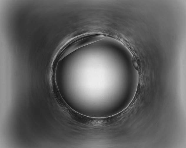 X0000096200152200801181348