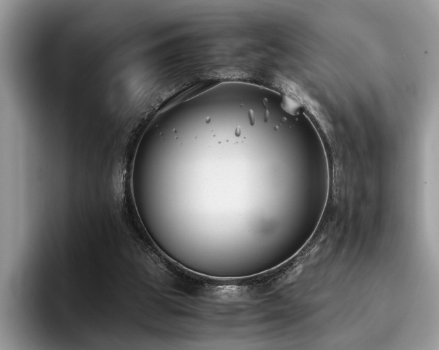 X0000096200153200801181348