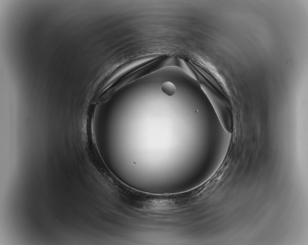 X0000096200154200801181348