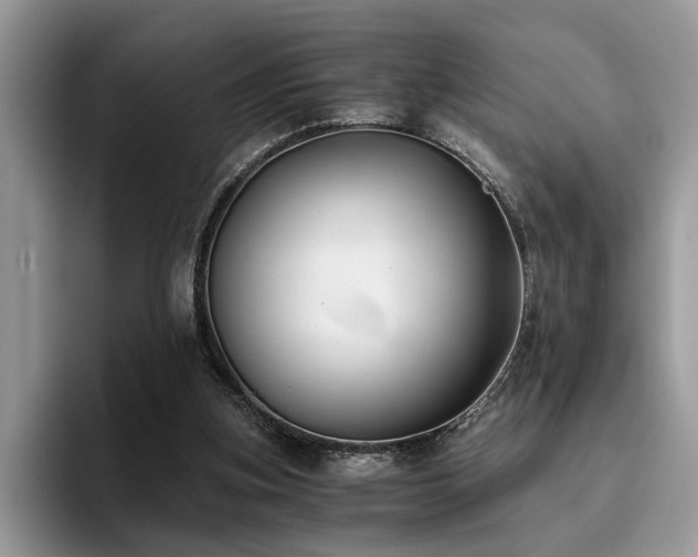 X0000096200155200801181348