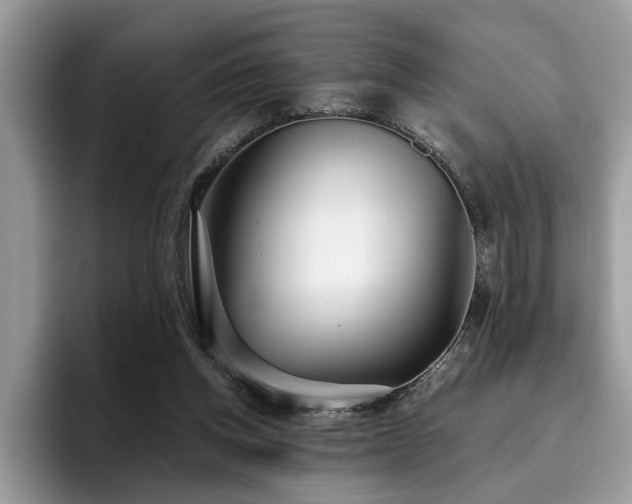 X0000096200158200801181348