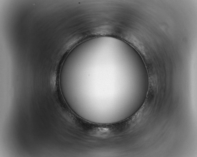 X0000096200159200801181348