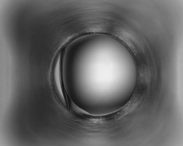 X0000096200160200801181348