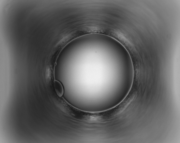 X0000096200165200801181348