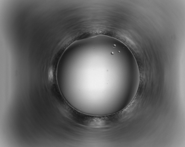X0000096200166200801181348