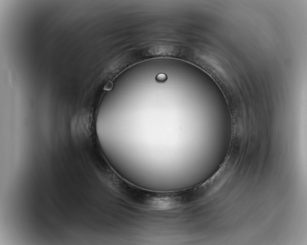X0000096200171200801181348