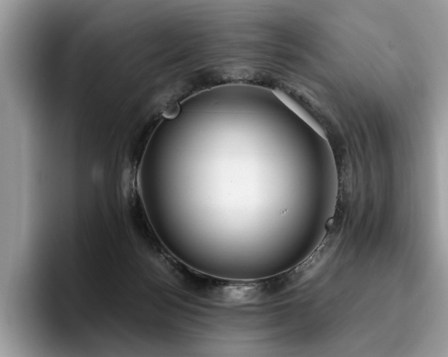 X0000096200172200801181348