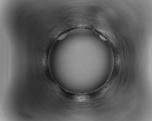 X0000096200181200801181348