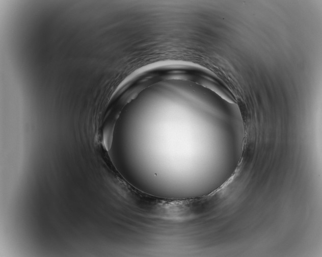 X0000096200186200801181348