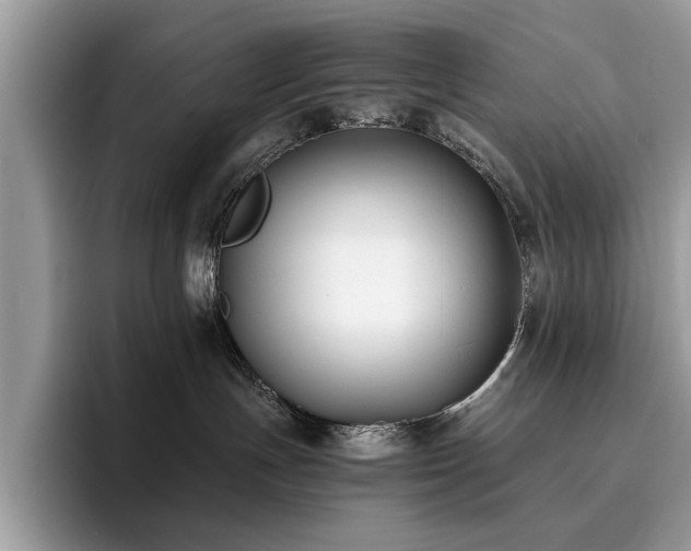 X0000096200191200801181348
