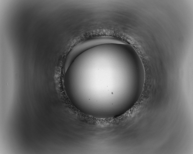 X0000096200192200801181348