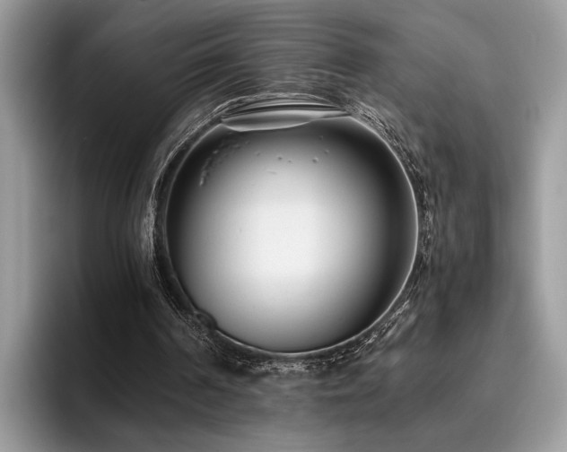 X0000096200194200801181348