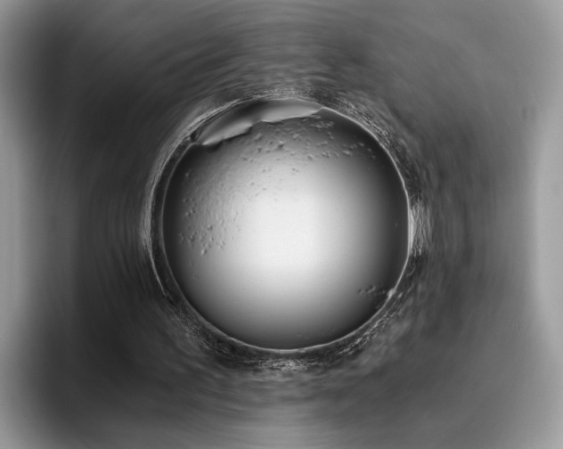 X0000096200195200801181348