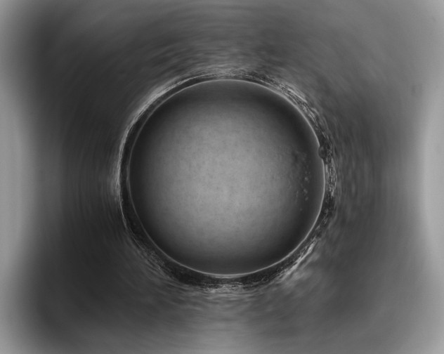 X0000096200196200801181348