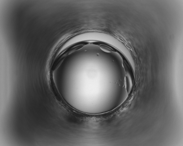 X0000096200197200801181348
