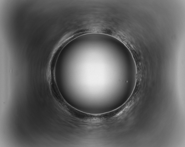 X0000096200198200801181348