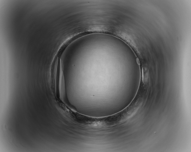 X0000096200204200801181348