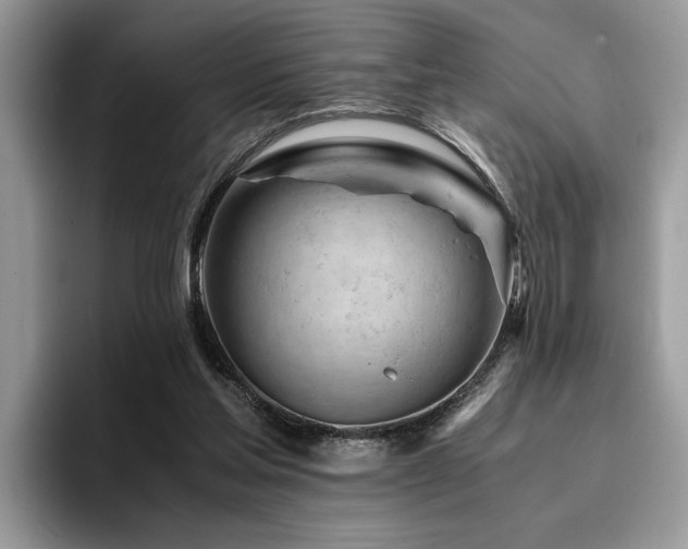 X0000096200205200801181348
