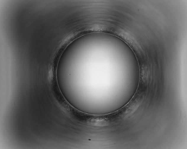 X0000096200208200801181347