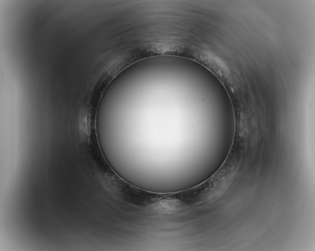 X0000096200210200801181347