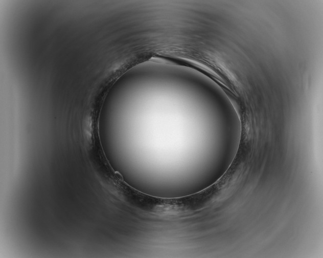 X0000096200211200801181347