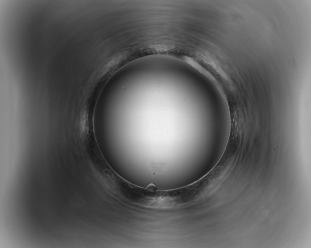 X0000096200212200801181347