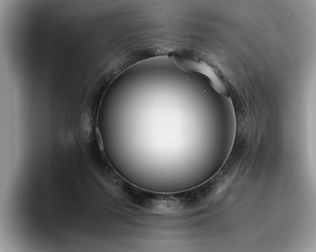 X0000096200215200801181347