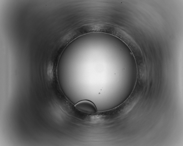 X0000096200216200801181347