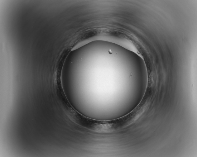 X0000096200217200801181347
